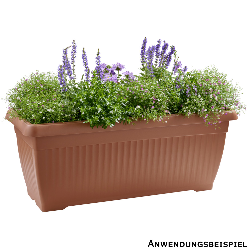 Blumenkasten Terra 80 cm terracotta image number 2