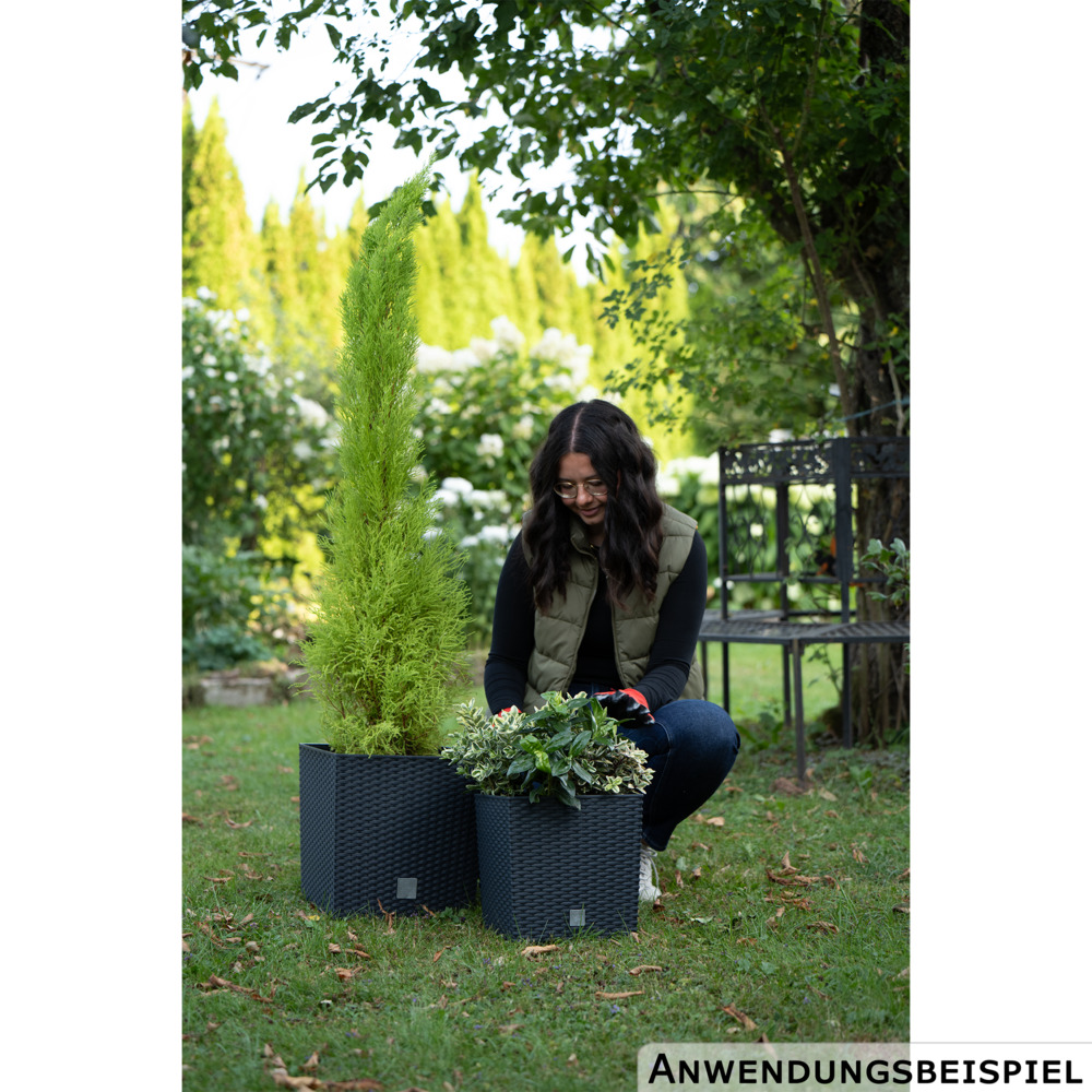 Prosperplast Pflanztopf Rato Low 26,2 x 26,2 x 26,6 cm in Anthrazit image number 2