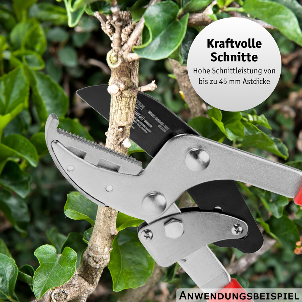 WALTER Getriebe-Astschere mit Teleskopfunktion image number 4