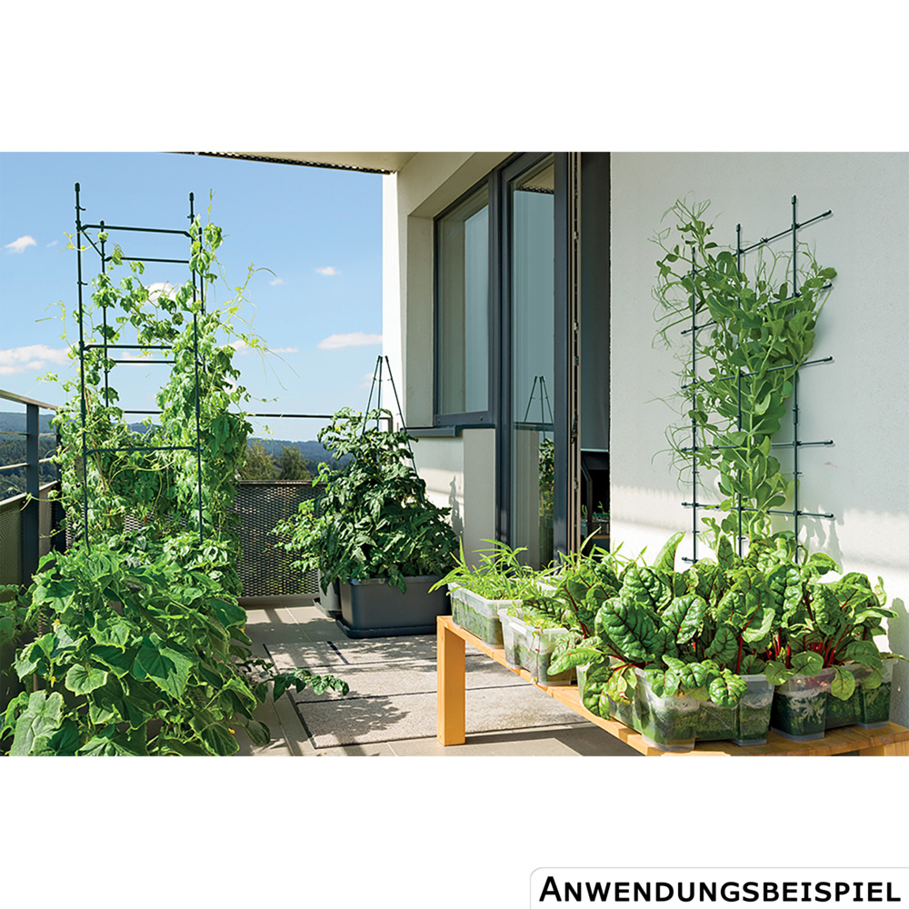 Prosperplast Rankgitter Kunststoff 120 x 180 cm Gr&uuml;n image number 2