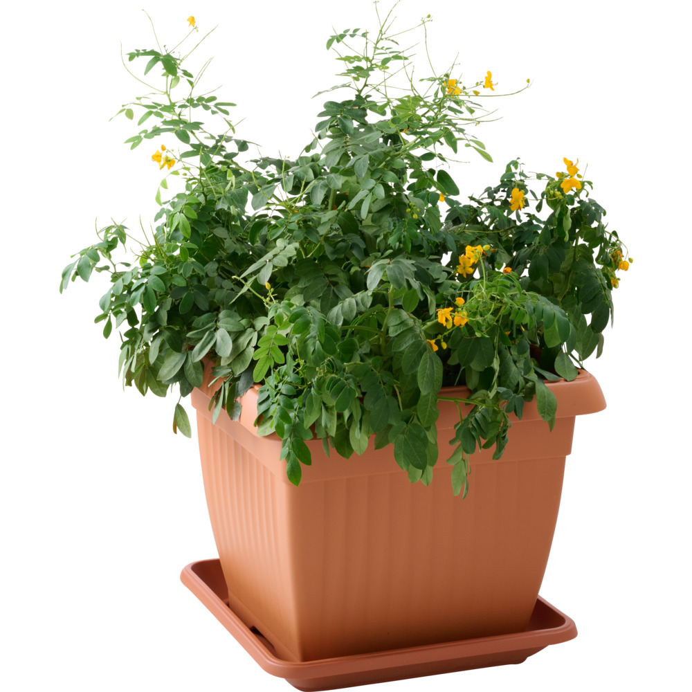 Prosperplast Blumentopf Terra eckig 45 x 45 cm in Terracotta image number 1