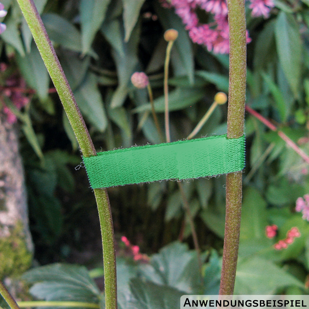 Pflanzen Klettbinder 7,5 m image number 2