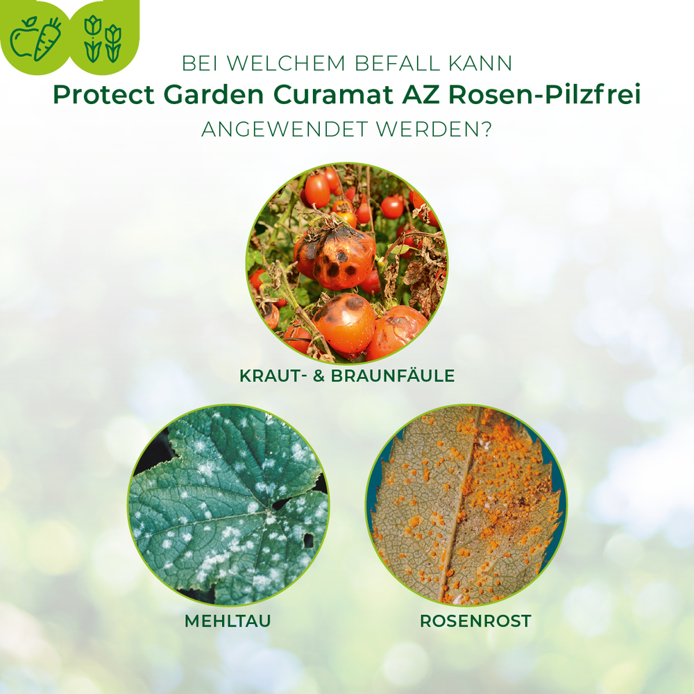 Protect Garden Curamat AZ Rosen-Pilzfrei 15 ml image number 3