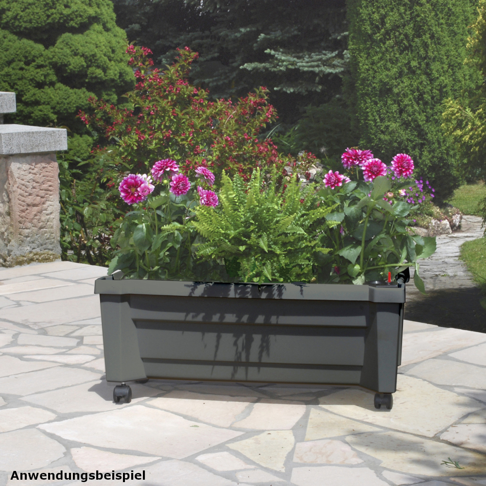 Pflanzkasten Calypso rollbar anthrazit aus Kunststoff image number 3