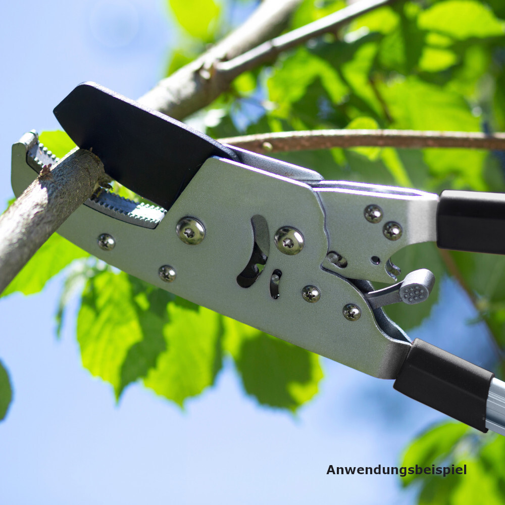 Ratschen-Astschere mit Teleskopfunktion image number 1