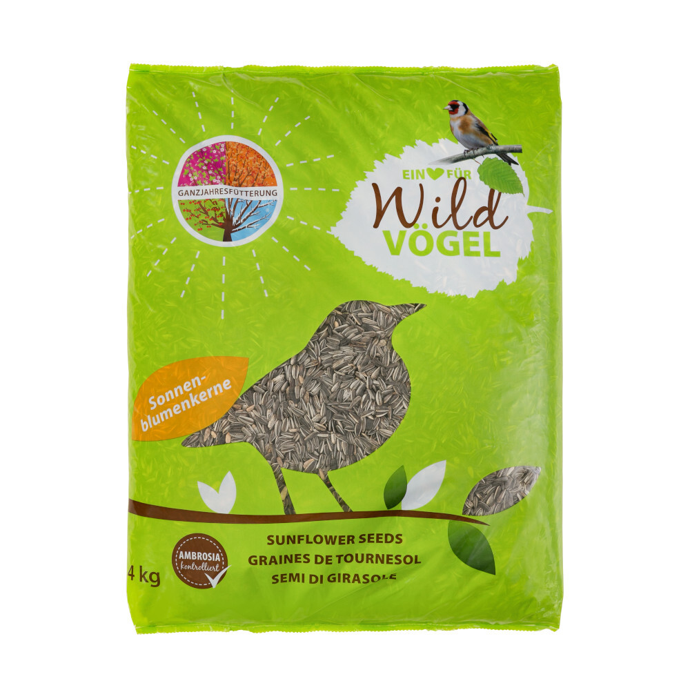 Sonnenblumenkerne 4 kg mit hohem &Ouml;lgehalt f&uuml;r mehr Energie