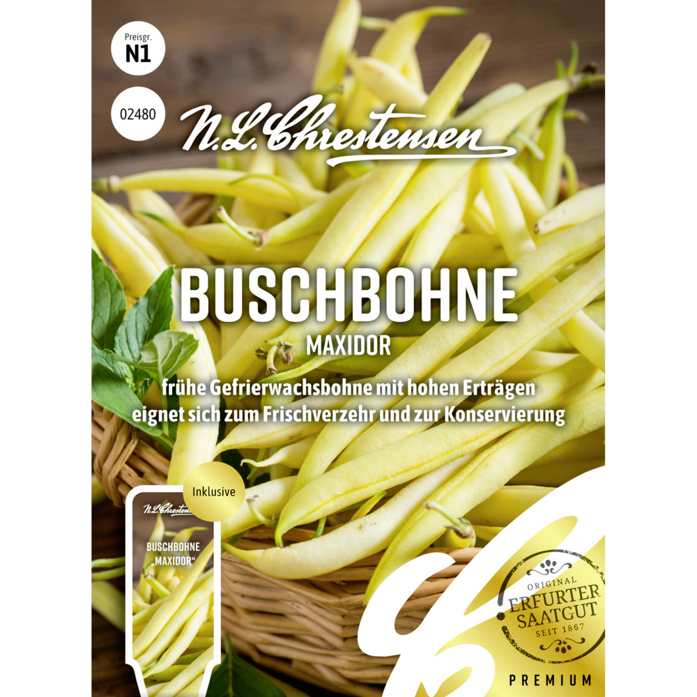 Saatgut Buschbohne Maxidor