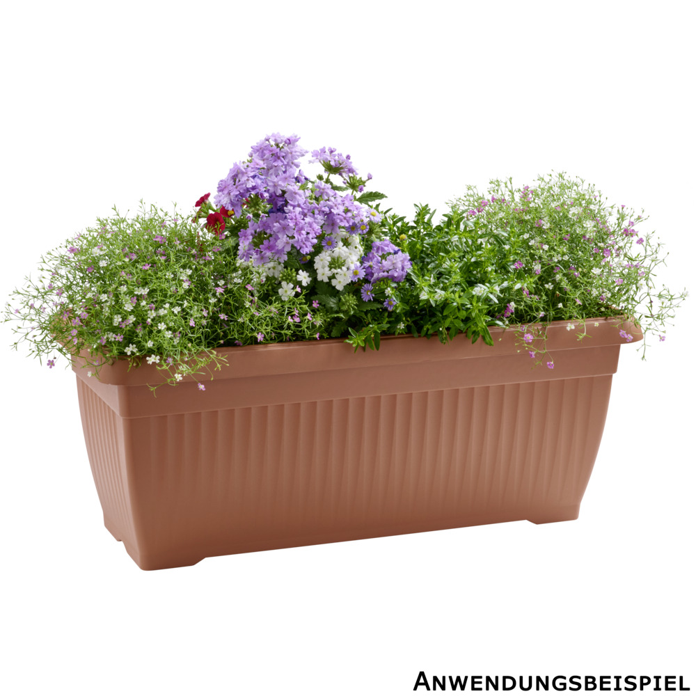 Blumenkasten Terra 60 cm terracotta image number 2