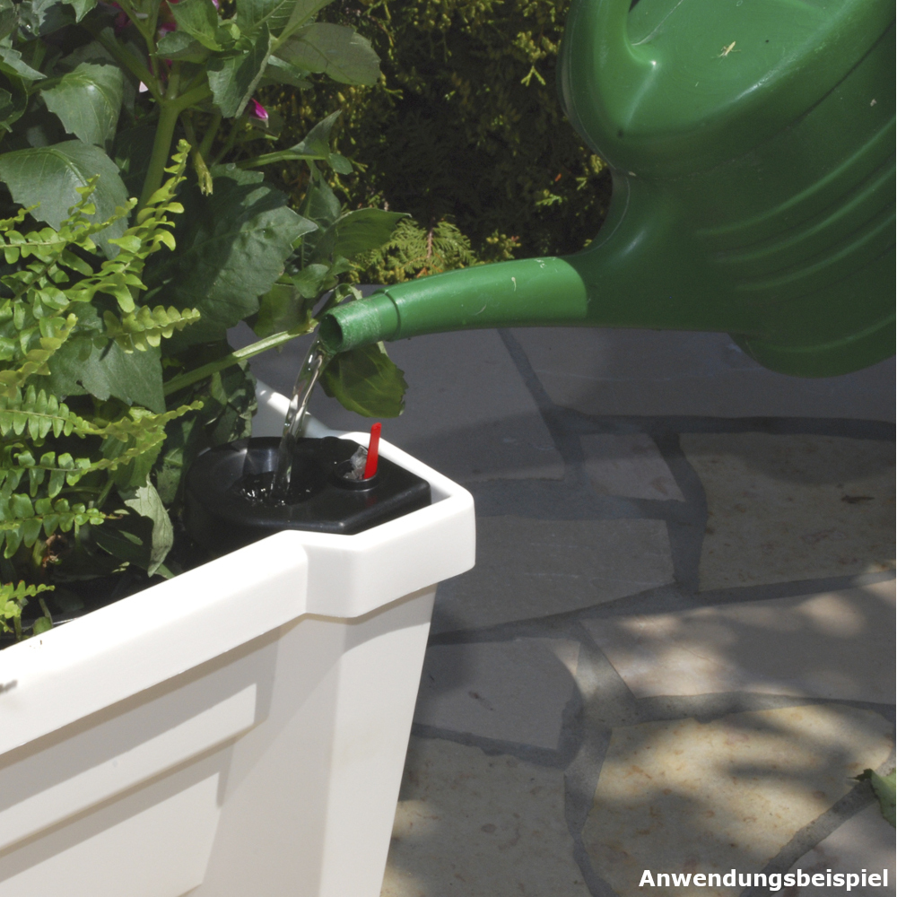 Pflanzkasten Calypso rollbar wei&szlig; aus Kunststoff image number 5