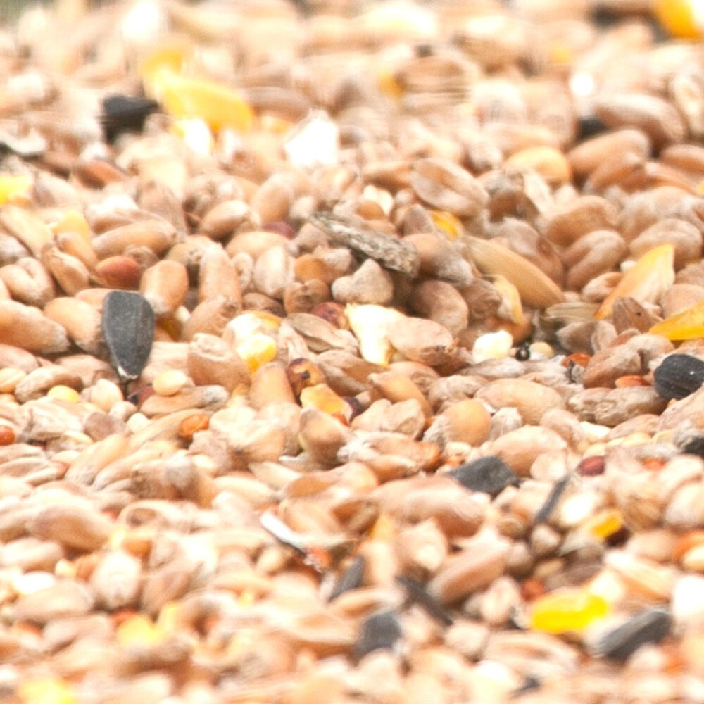 Vogelfutter 2,5 kg spezielles Fett- und Weichfutter image number 1