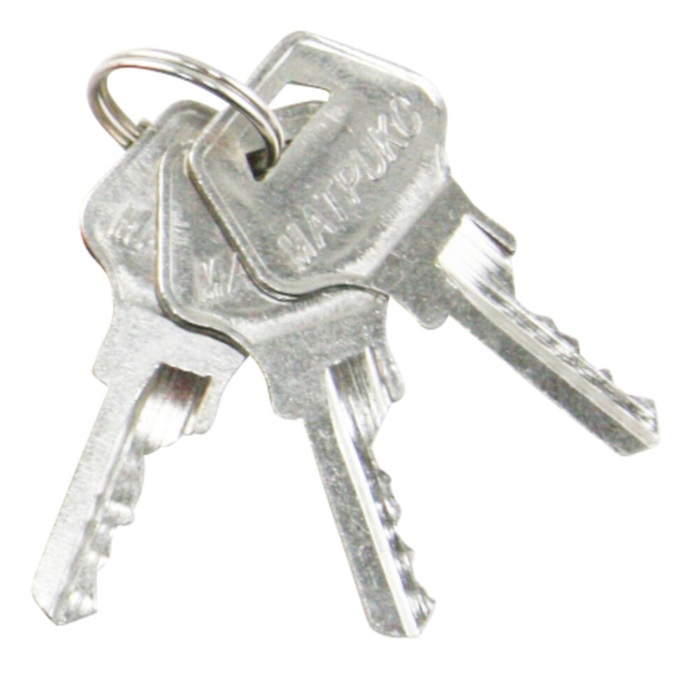 Vorh&auml;ngeschloss 50 x 110 mm mit 3 Schl&uuml;sseln image number 2