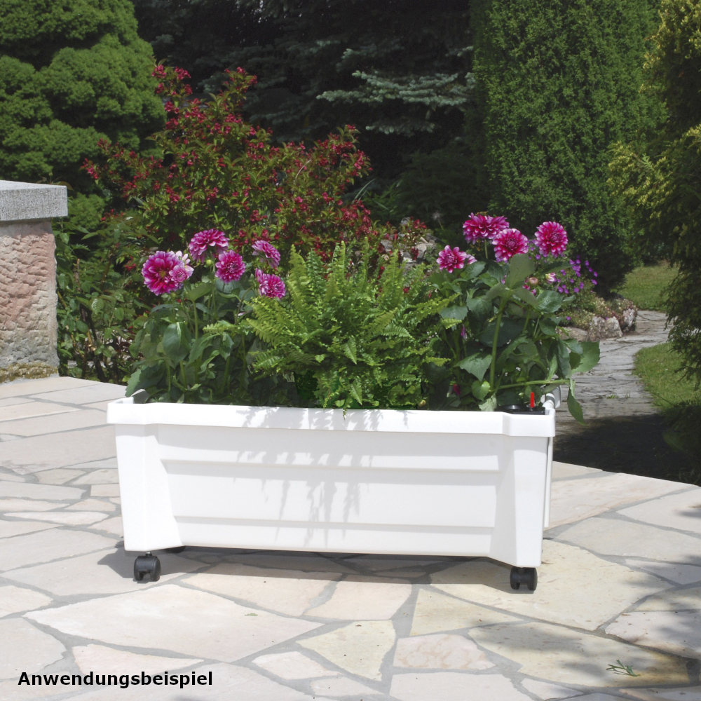 Pflanzkasten Calypso rollbar wei&szlig; aus Kunststoff image number 4
