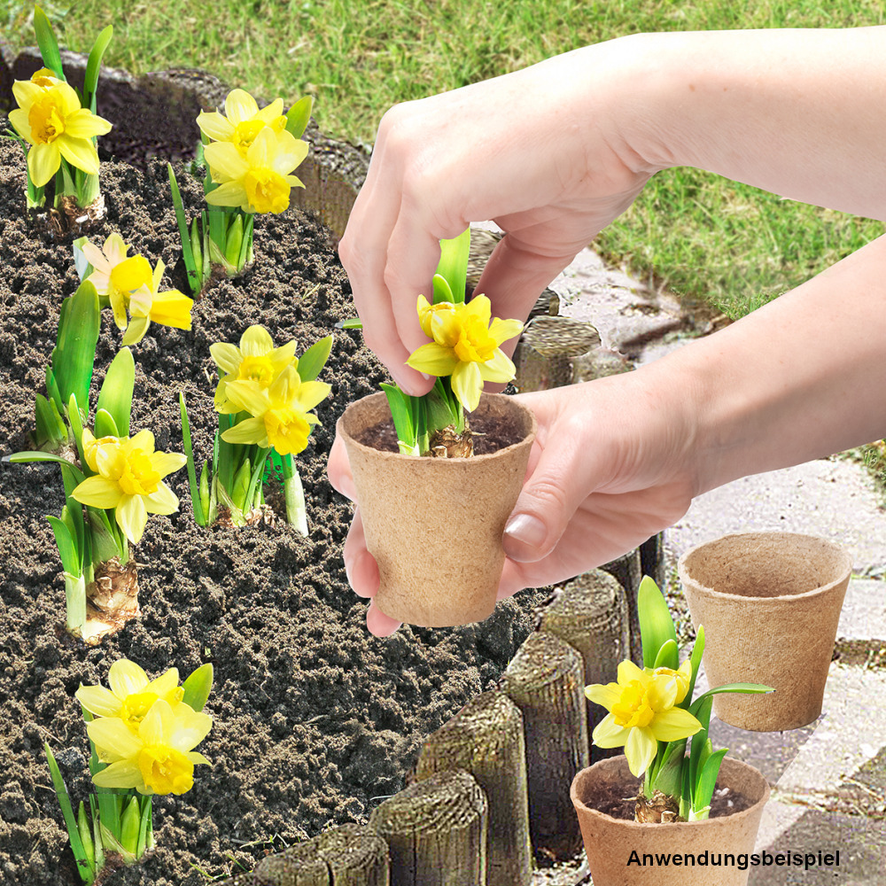 Anzuchtt&ouml;pfe 6 x 6 cm rund, 24 St&uuml;ck, Papier image number 1