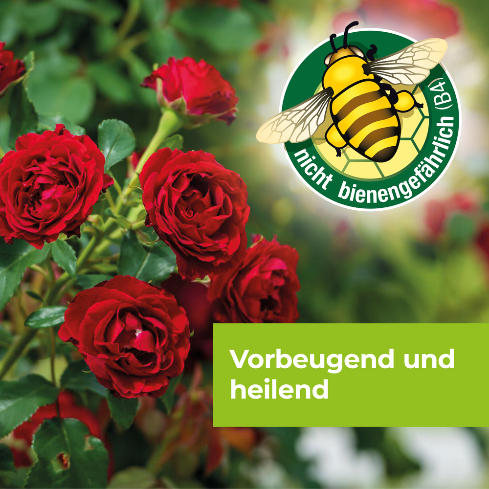 Protect Garden Curamat AZ Rosen-Pilzfrei 15 ml image number 5