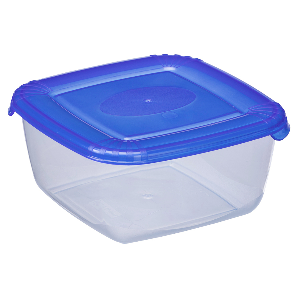 Gefrier- und Frischhaltedose L, Transparent