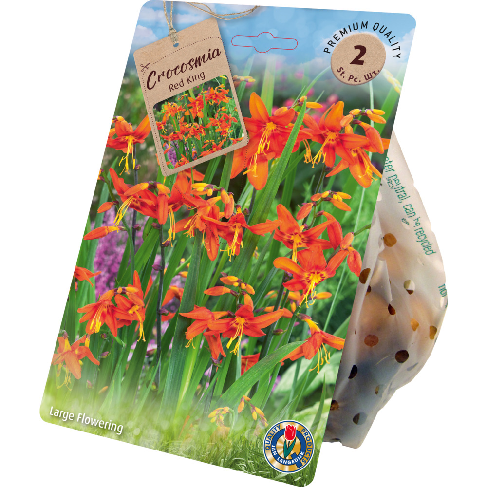 Blumenzwiebeln Montbretie "Red King" 2 St&uuml;ck rot-orange