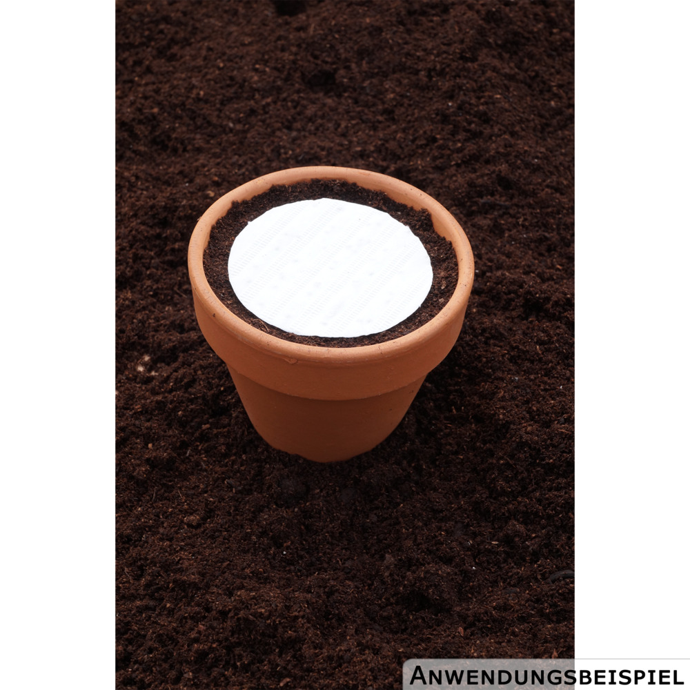 Saatscheiben Pizza-Kr&auml;uter-Mix 5 Scheiben image number 2