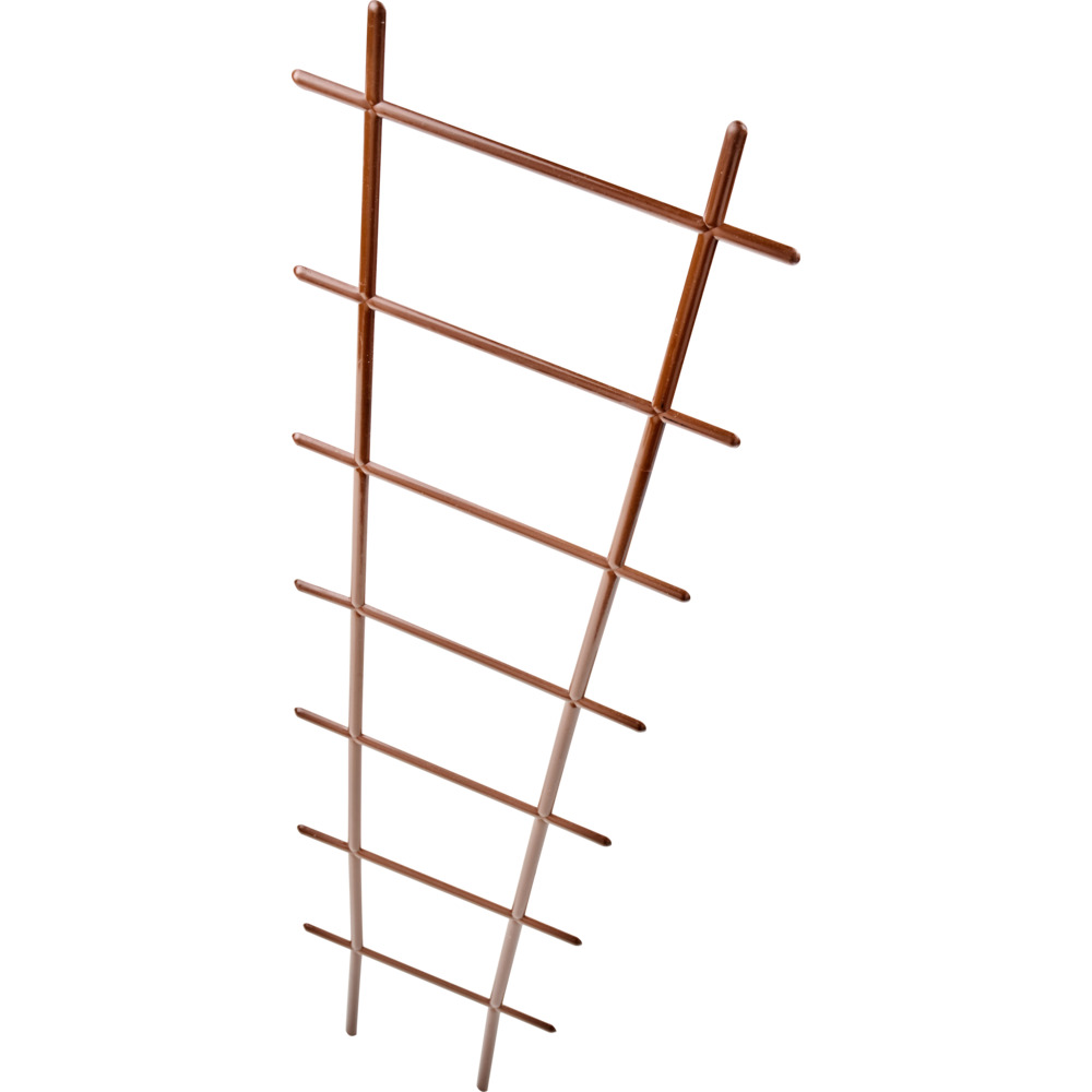 Prosperplast Rankhilfe 20 x 67 cm Braun image number 1