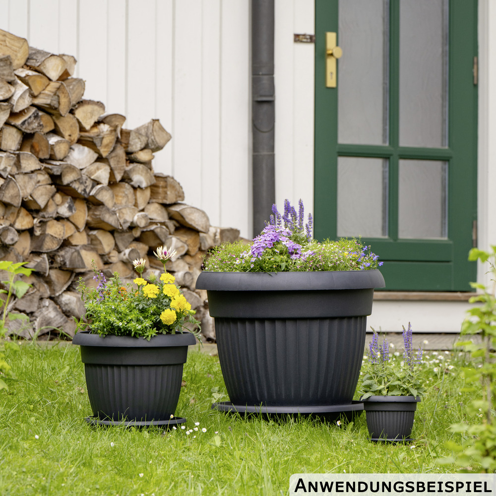 Prosperplast Untersetzer Terra rund &Oslash; 17 cm in Anthrazit image number 2