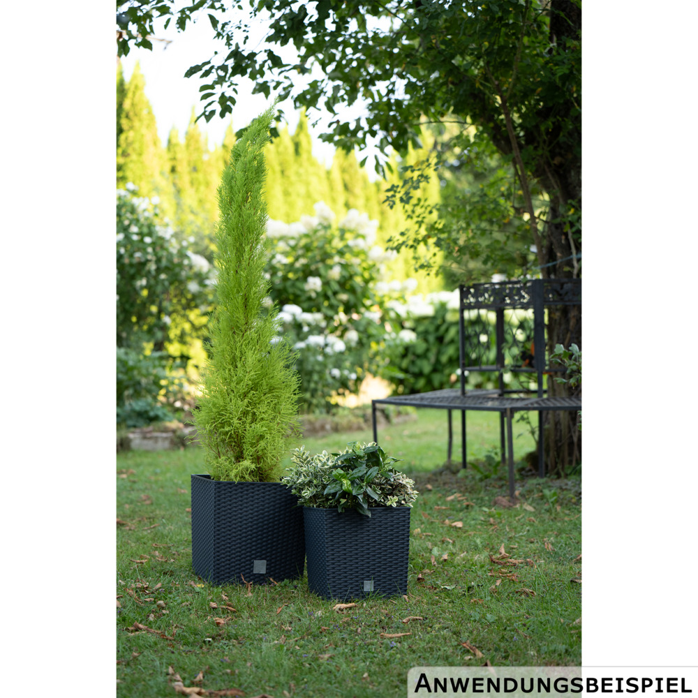 Prosperplast Pflanztopf Rato Low 26,2 x 26,2 x 26,6 cm in Anthrazit image number 3