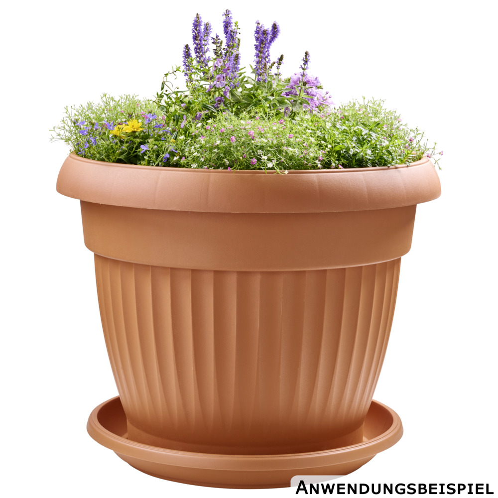 Prosperplast Blumentopf Terra rund in terracotta image number 2