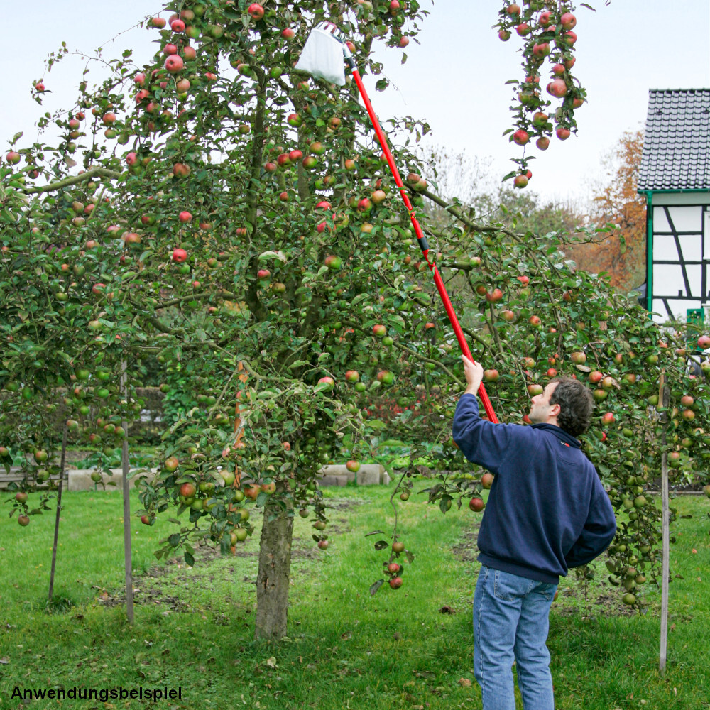 Obstpfl&uuml;cker &Oslash; 13 cm mit Teleskopstiel max. 3 m image number 1