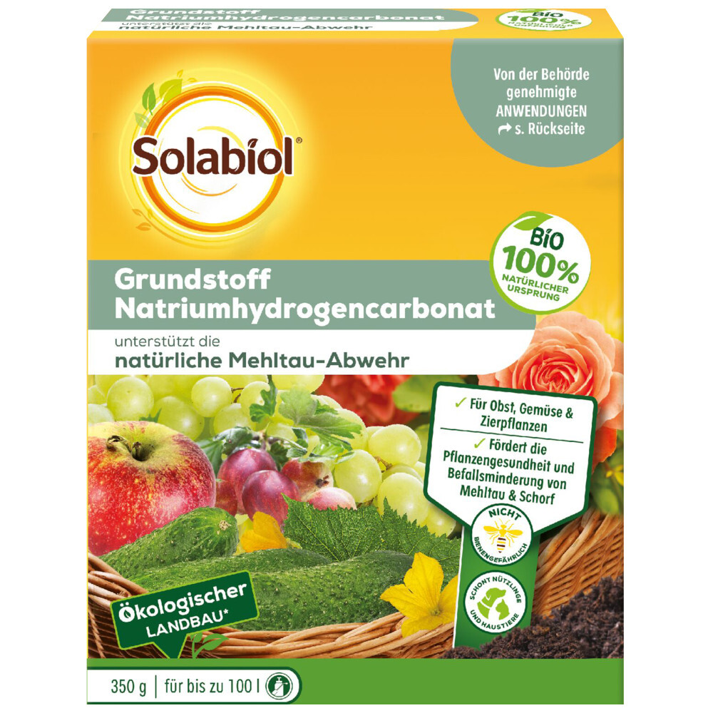Solabiol&reg; Grundstoff Natriumhydrogencarbonat-Konzentrat 350 g image number 1