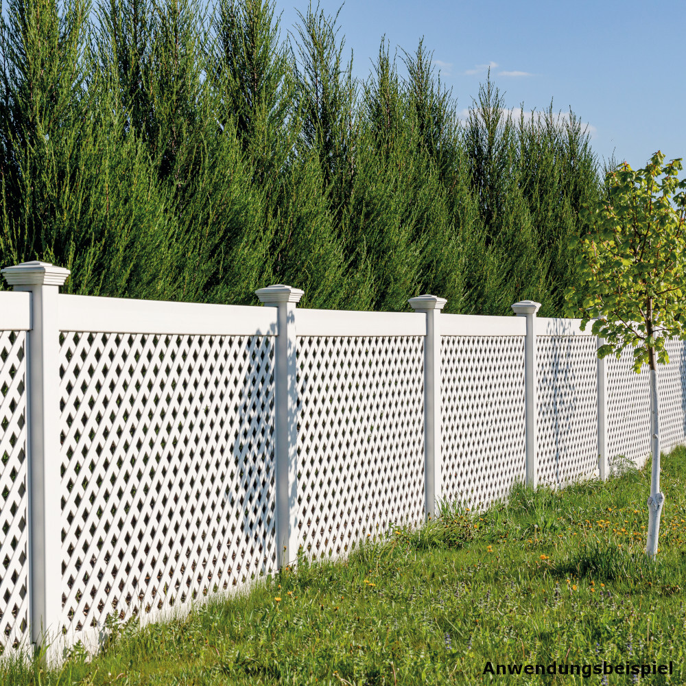 DECOPRO Zaunwei&szlig; 2 Liter in Wei&szlig;, seidenmatt image number 3