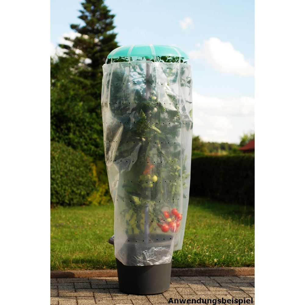 Tomatenhaube Kunststoff Set 4-teilig image number 6