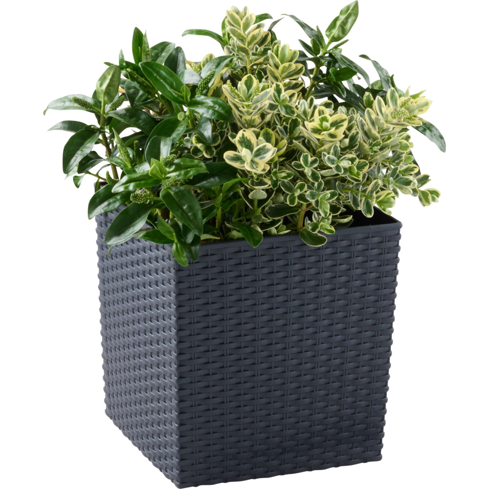 Prosperplast Pflanztopf Rato Low 26,2 x 26,2 x 26,6 cm in Anthrazit image number 1