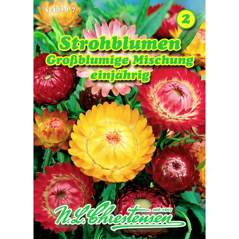 Saatgut Strohblumen-Mix gro&szlig;blumig ca. 100 Pflanzen