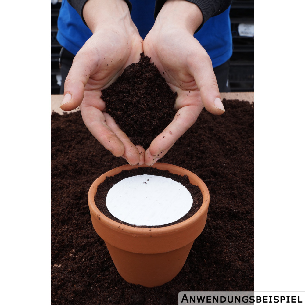 Saatscheiben Pizza-Kr&auml;uter-Mix 5 Scheiben image number 3