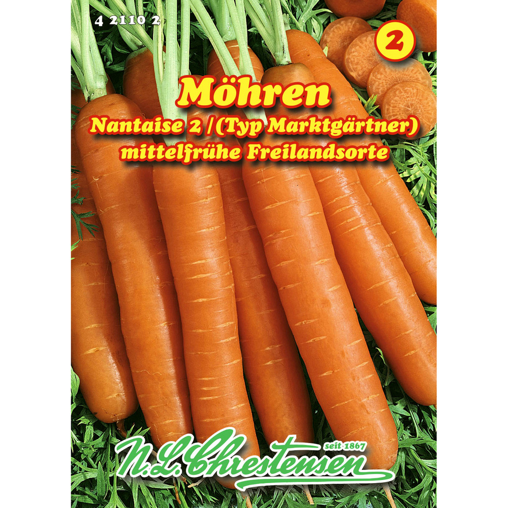 Saatgut Speisem&ouml;hre ca. 12&ndash;15 laufende Meter