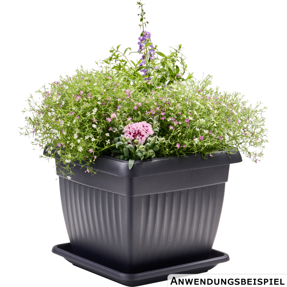Prosperplast Blumentopf Terra eckig 30 x 30 cm in Anthrazit image number 2