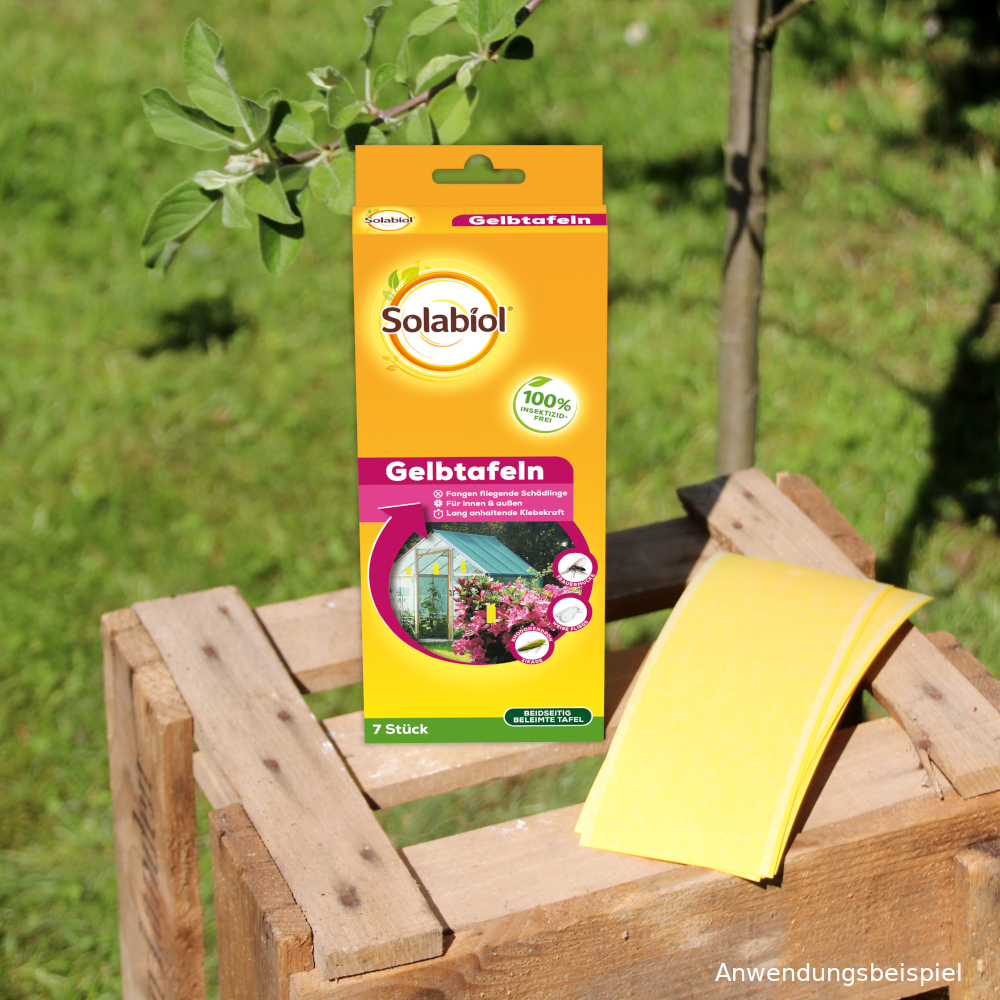 Solabiol Kombi Gelbtafeln 7 St&uuml;ck image number 1