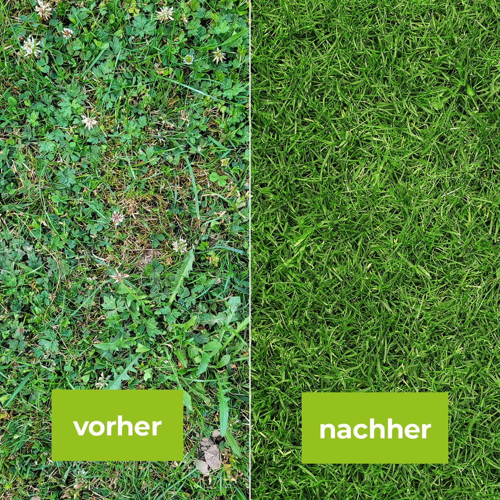  Protect Garden&reg; Loredo&reg; Quattro Universal-Rasenunkrautfrei 250 ml image number 4