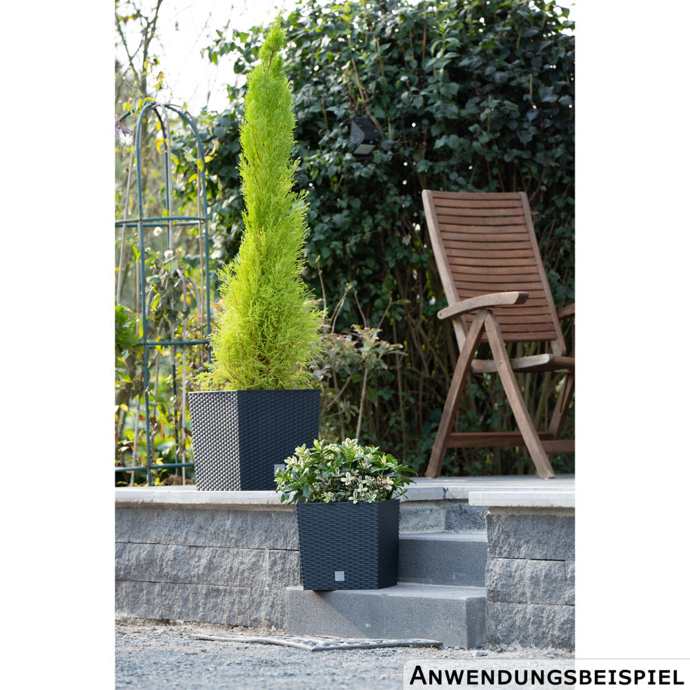 Prosperplast Pflanztopf Rato Low 26,2 x 26,2 x 26,6 cm in Anthrazit image number 4