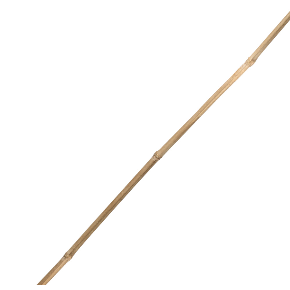 Tonkinstab 75 cm aus Bambus image number 2