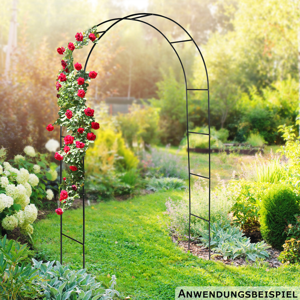 Rosenbogen 240x140x38 cm aus Metall image number 2