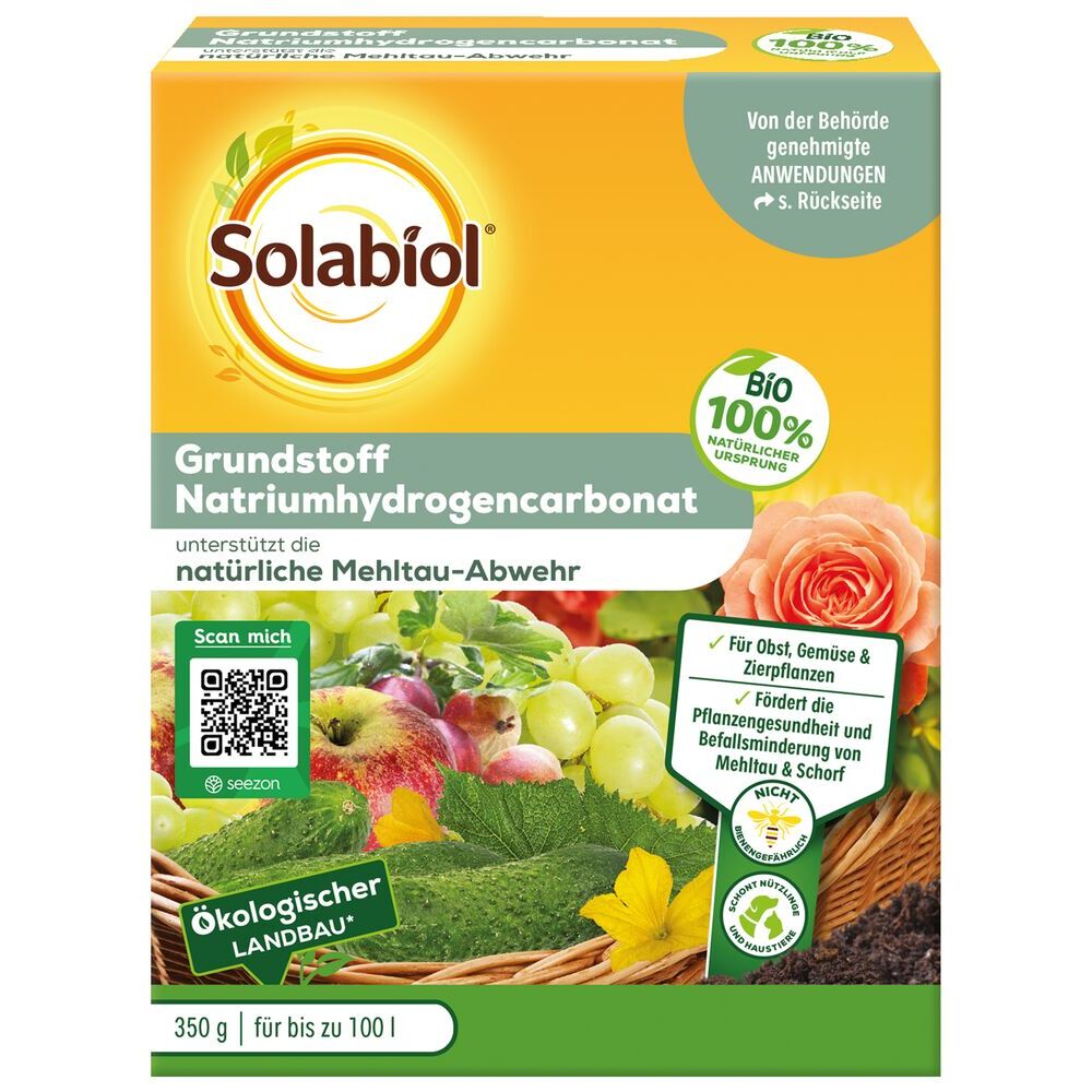 Solabiol&reg; Grundstoff Natriumhydrogencarbonat-Konzentrat 350 g