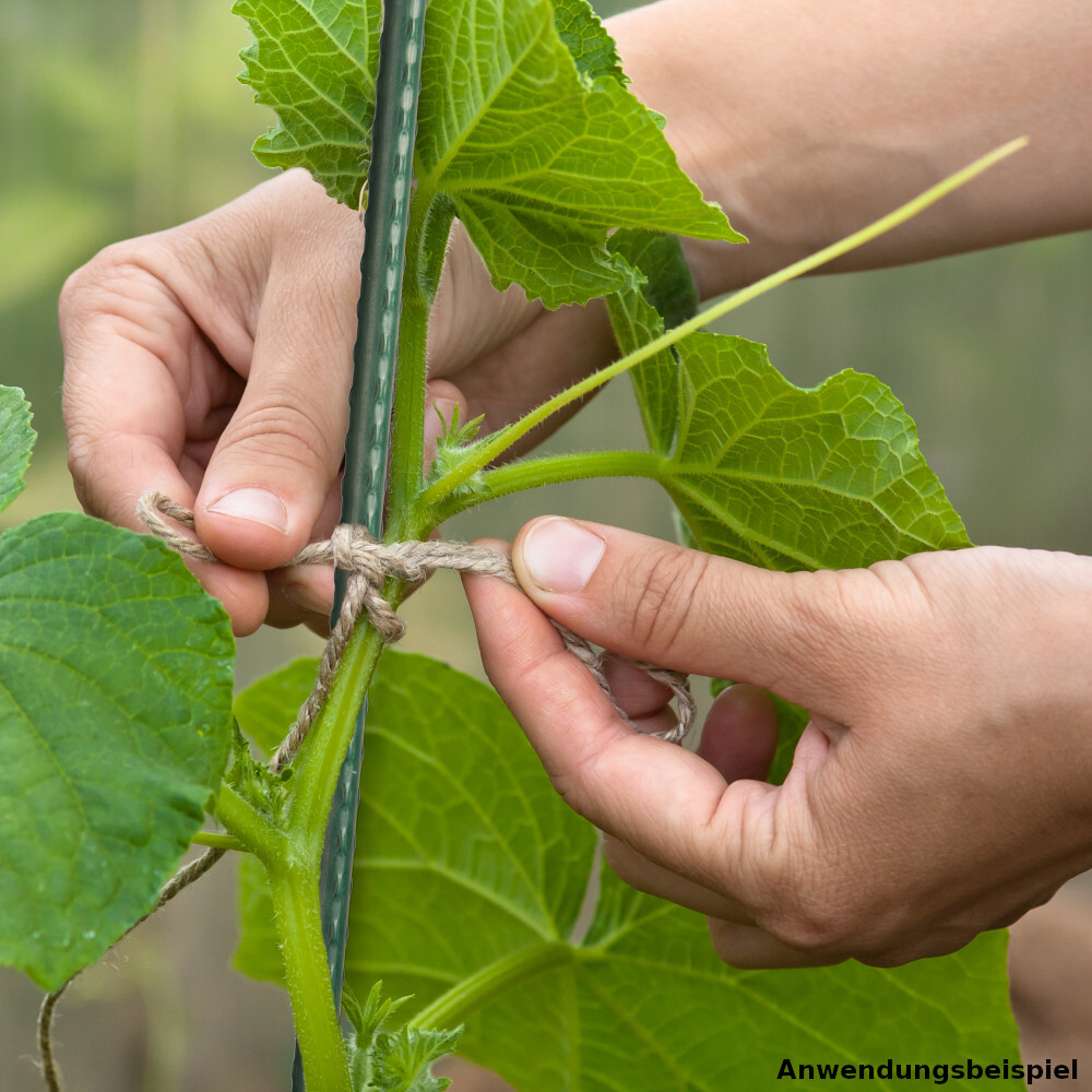 Pflanzstab &Oslash; 8 x 600 mm aus Stahldraht mit dunkelgr&uuml;ner Ummantelung image number 1