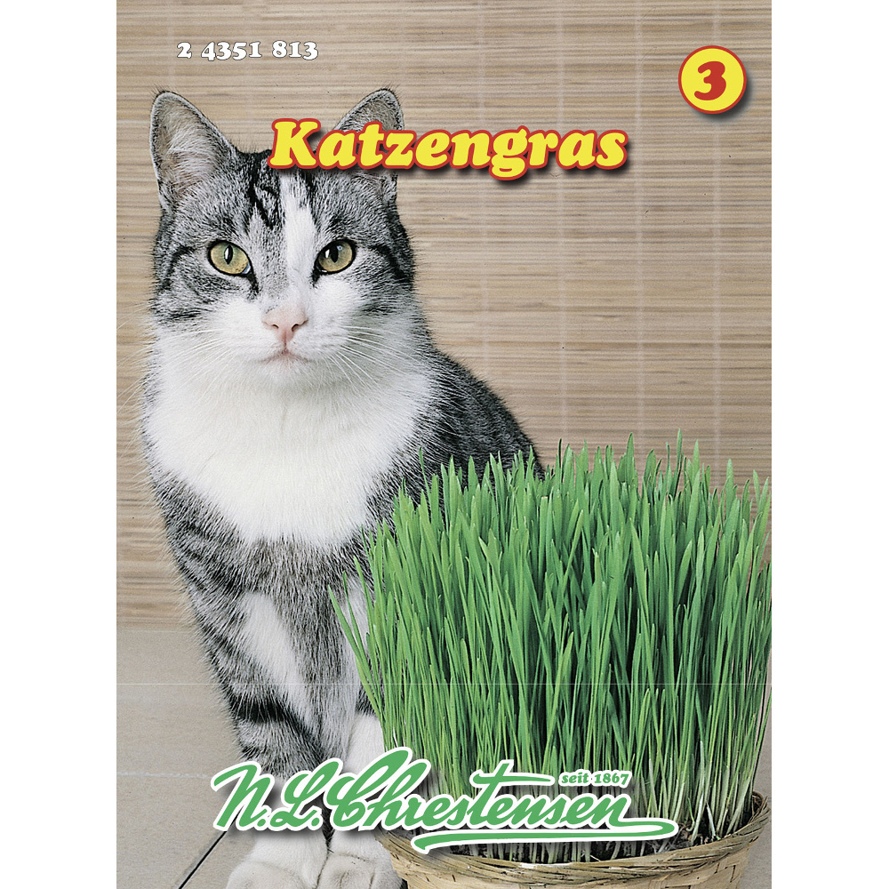 Saatgut Katzengras f&uuml;r ca. 15-20 mittlere Schalen
