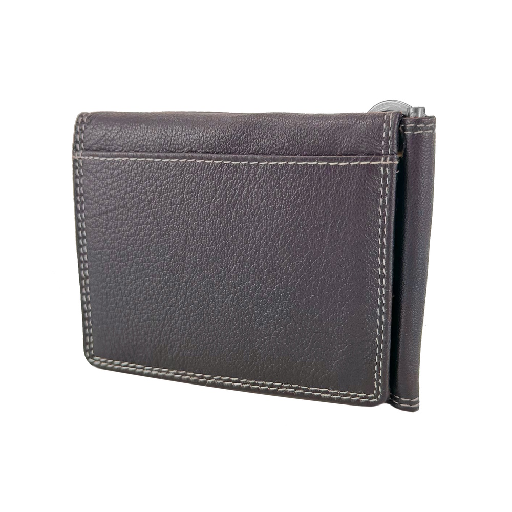 Dollarclip image number 3