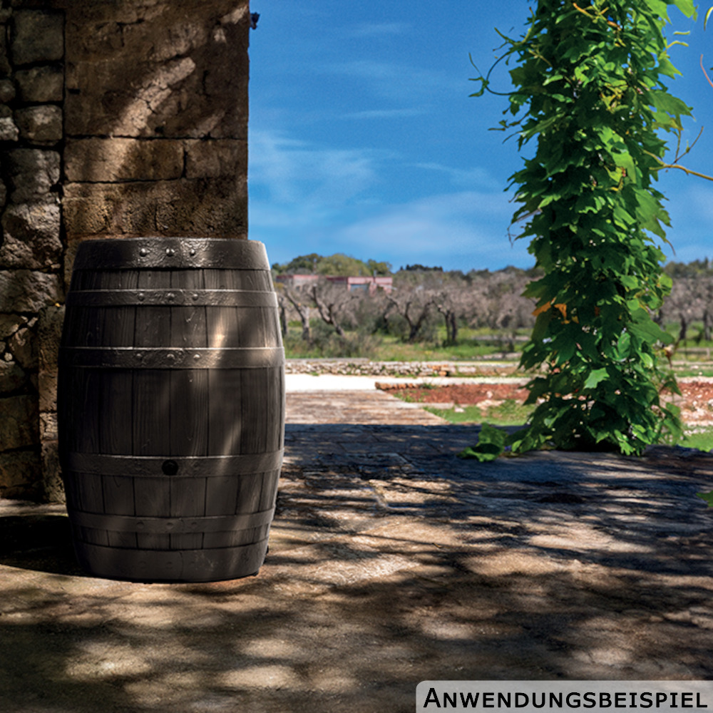 Prosperplast Regenfass Botaqua 250 Liter Dunkelbraun image number 2