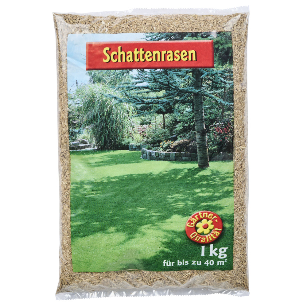 Schattenrasen Samen 1 kg Saatgut f&uuml;r 40 m&sup2; Rasenfl&auml;che image number 2
