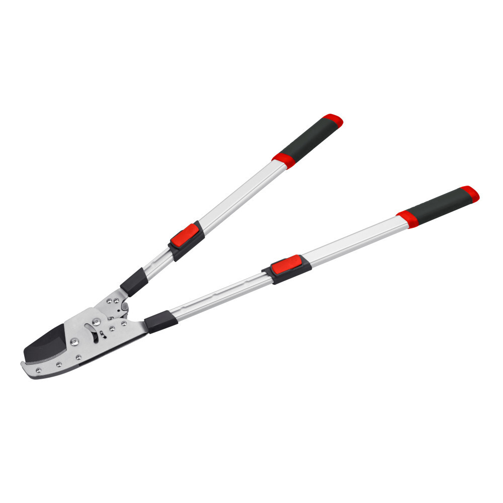 Ratschen-Astschere mit Teleskopfunktion