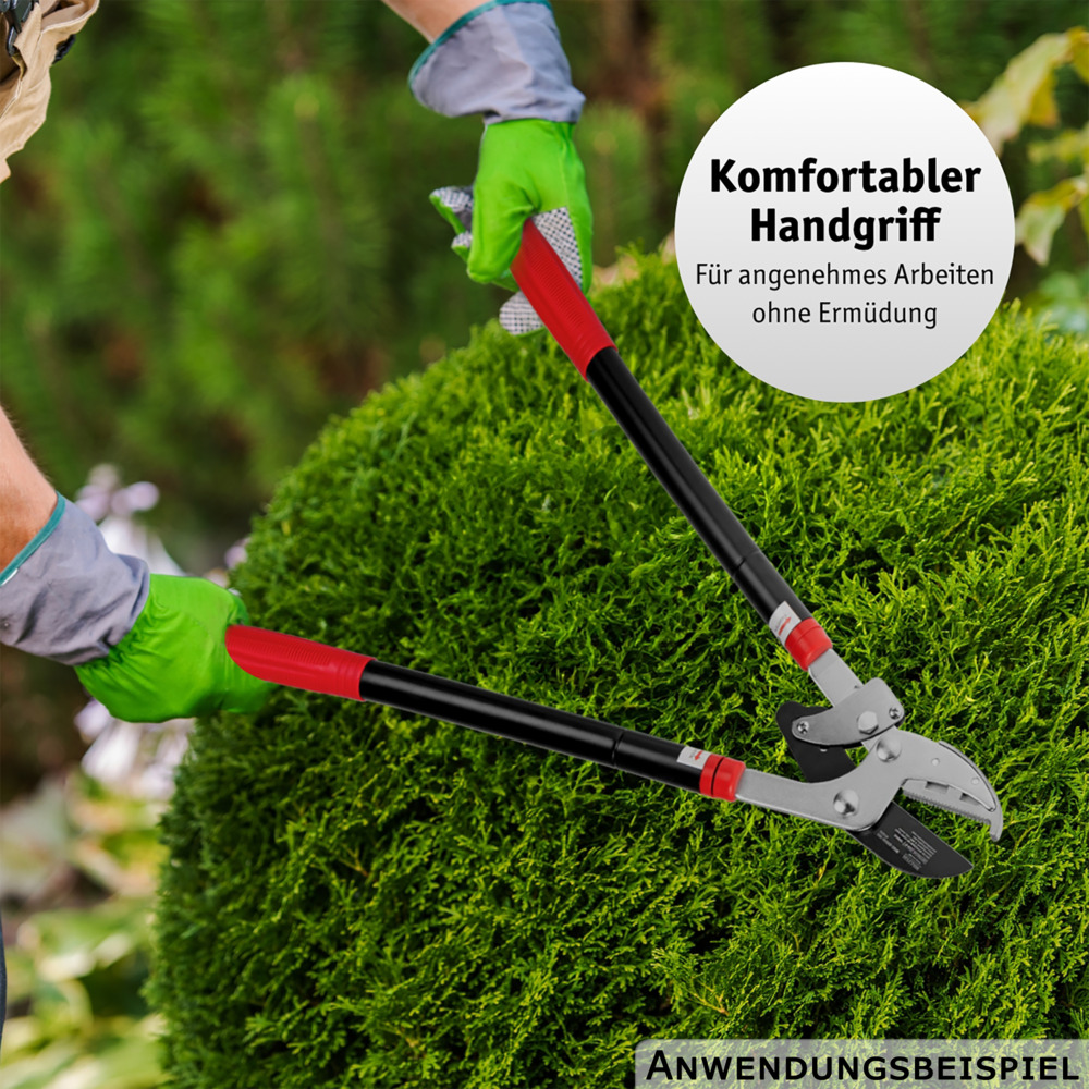 WALTER Getriebe-Astschere mit Teleskopfunktion image number 6