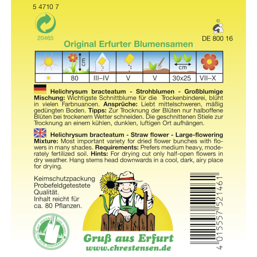 Saatgut Strohblumen-Mix gro&szlig;blumig ca. 100 Pflanzen image number 1