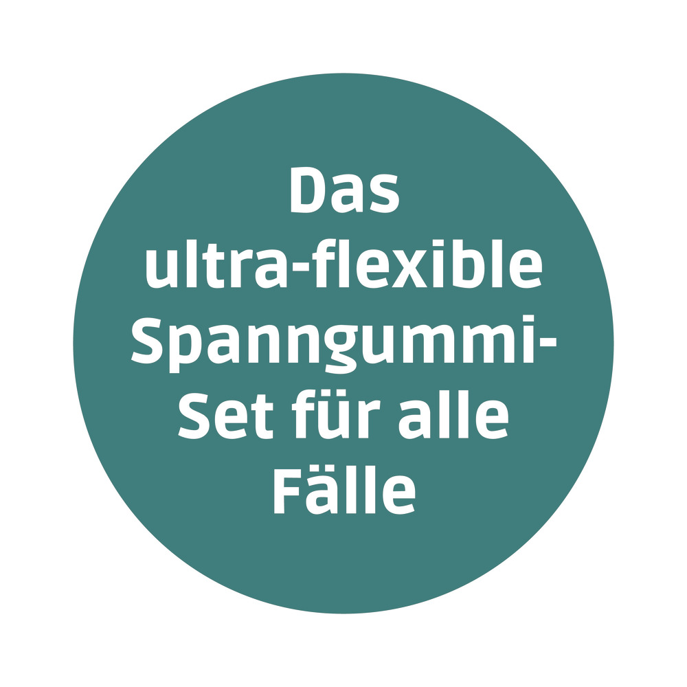 ModulFix Spanngummi-Transport-Set Premium 9-teilig image number 5