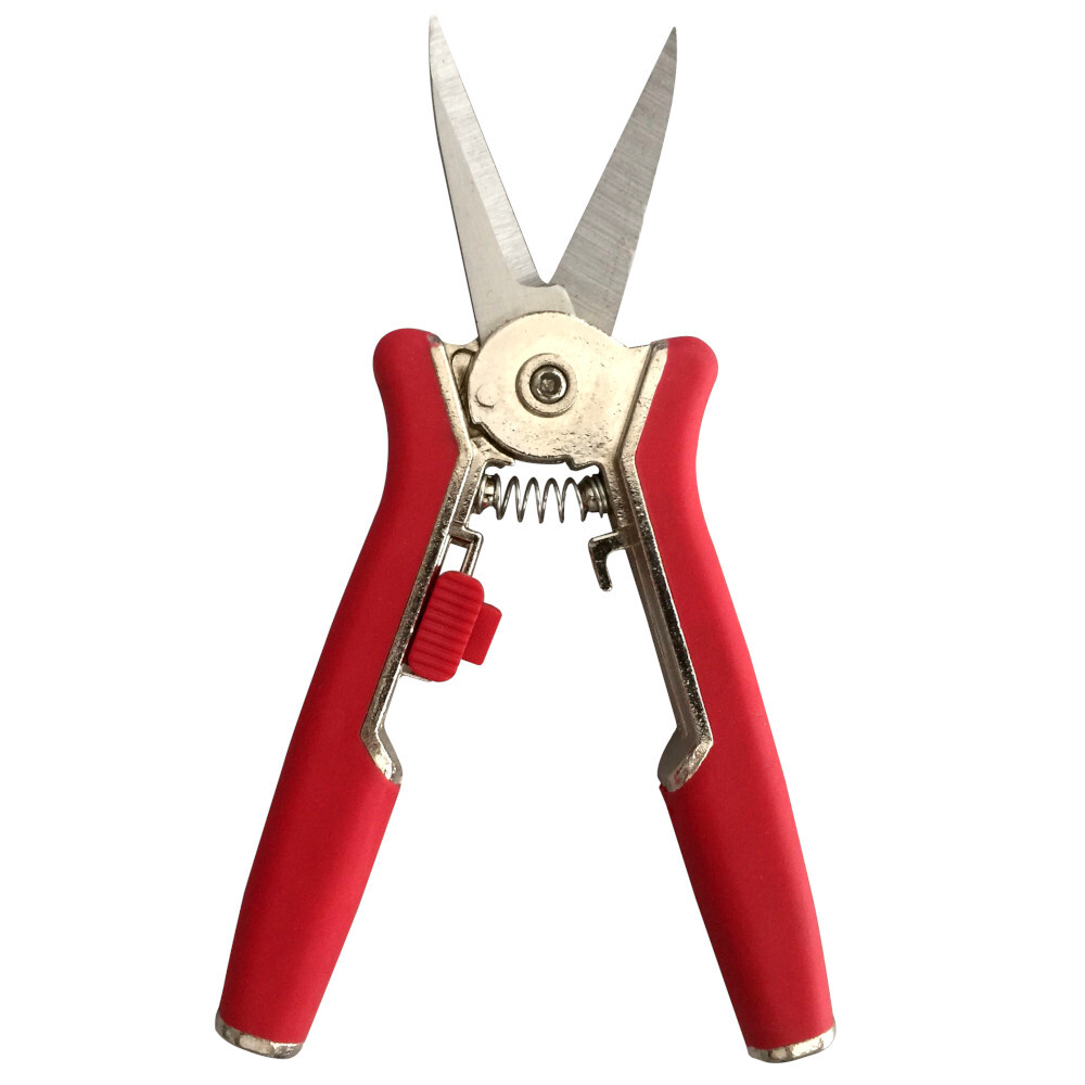 Sonderpreis Baumarkt Mini-Gartenschere